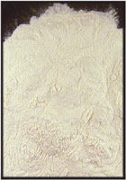 Gum Arabic (Acacia Gum) Powder